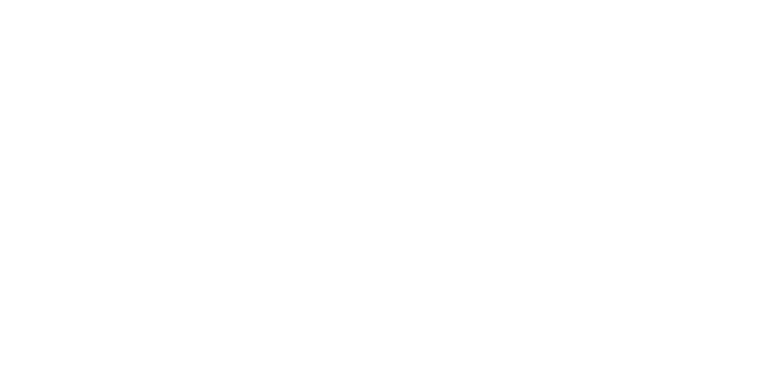 El Fénix Brillante